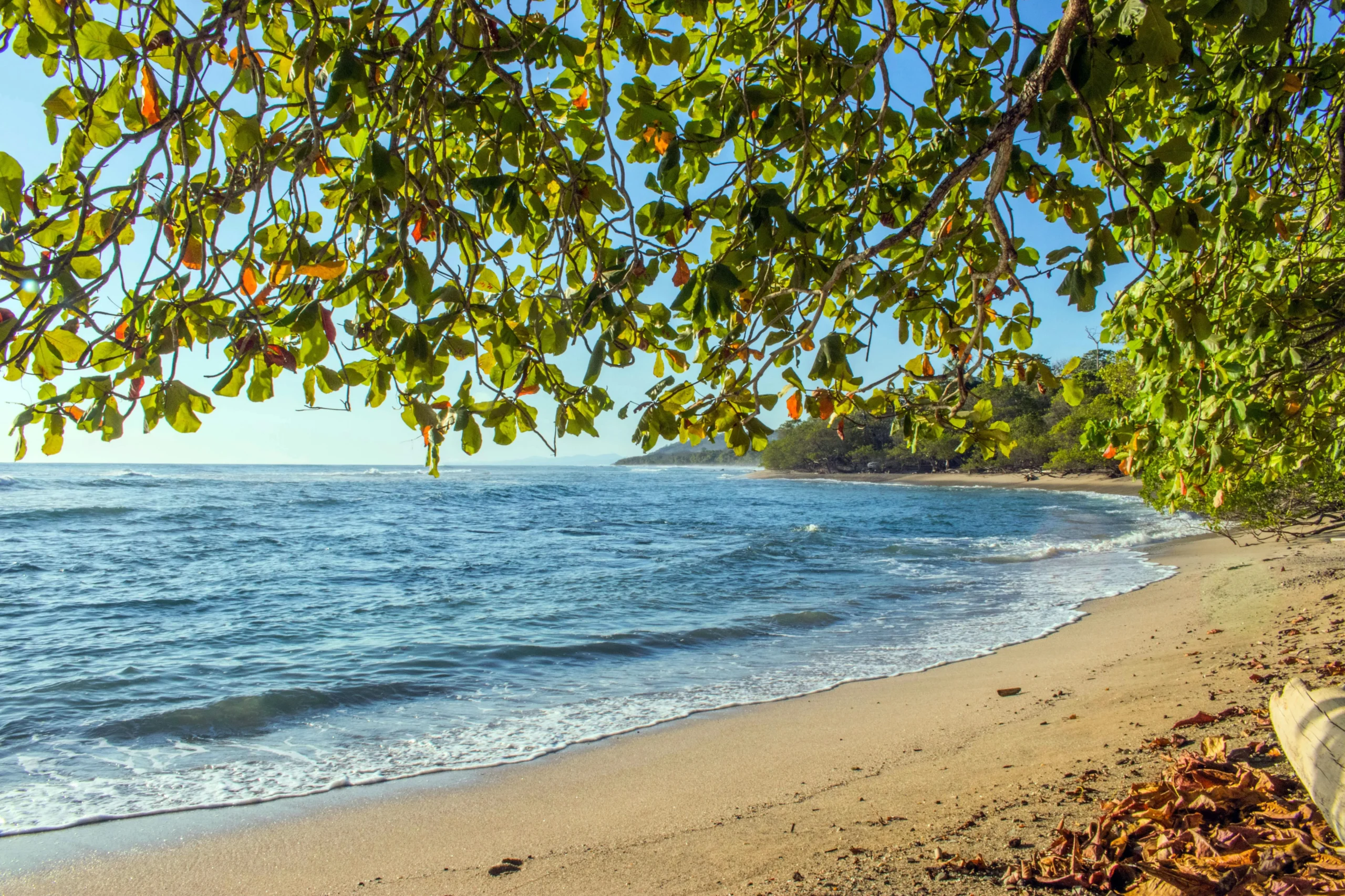Tranquil beach scene in Puntarenas, Costa Rica with lush greenery and calm waves.
